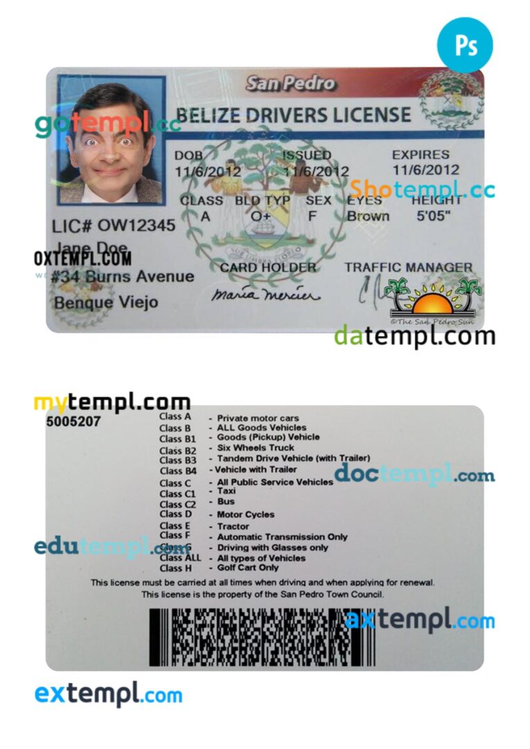 Belize driving license PSD editable template