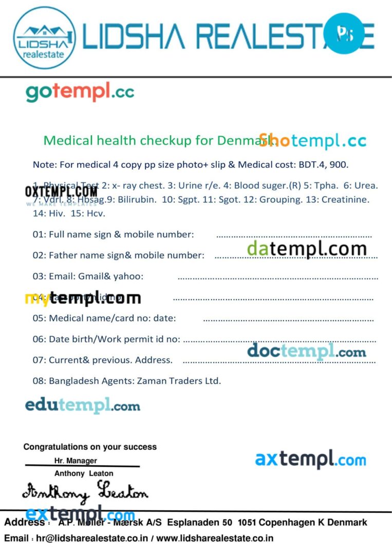 Denmark Lidsha realestate company work permit template in PSD format, 2 pages - Image 2