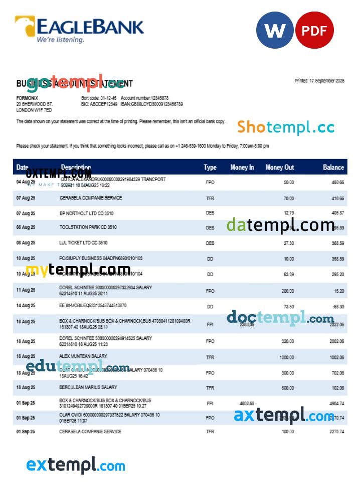 Eagle company checking account statement Word and PDF template