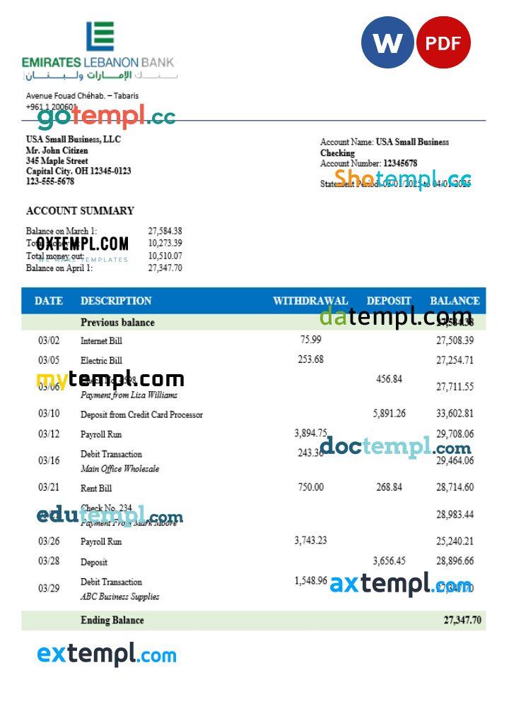 Emirates Lebanese organization checking account statement Word and PDF template