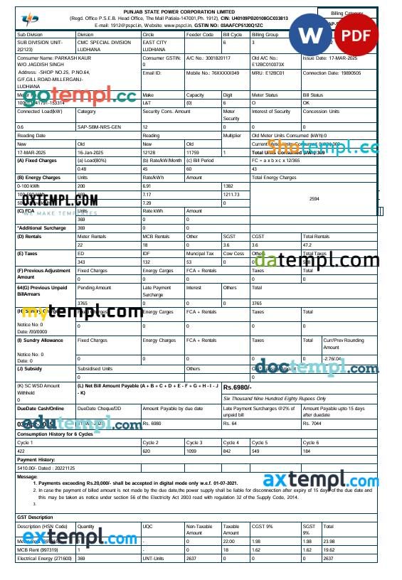 India PSPCL electricity utility bill in Word and PDF format