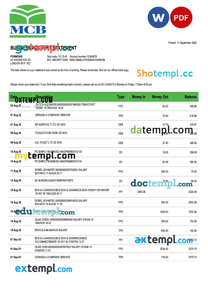 Pakistan MCB business checking account statement Word and PDF template