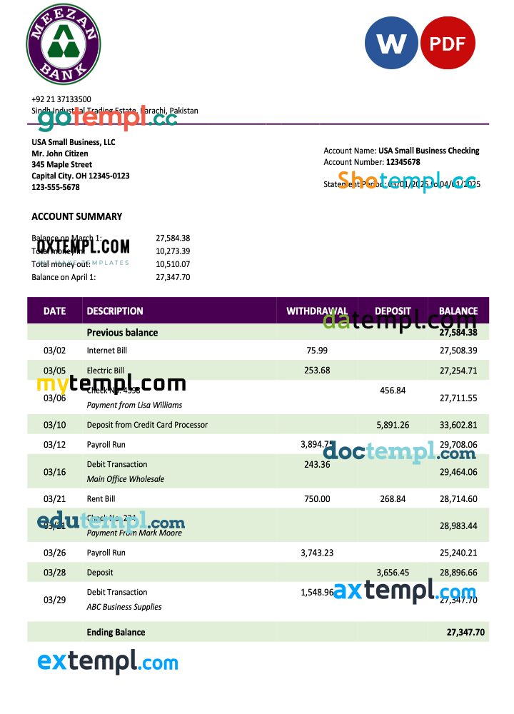 Pakistan Meezan Bank organization statement Word and PDF template