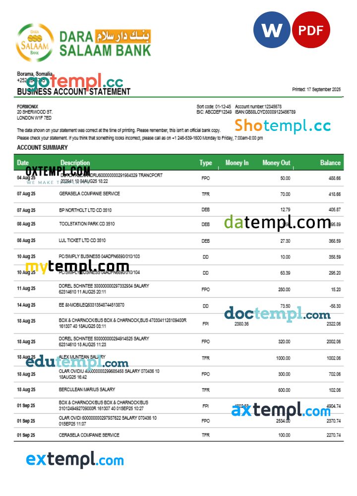 Somali Dara Salaam Bank firm account statement Word and PDF template