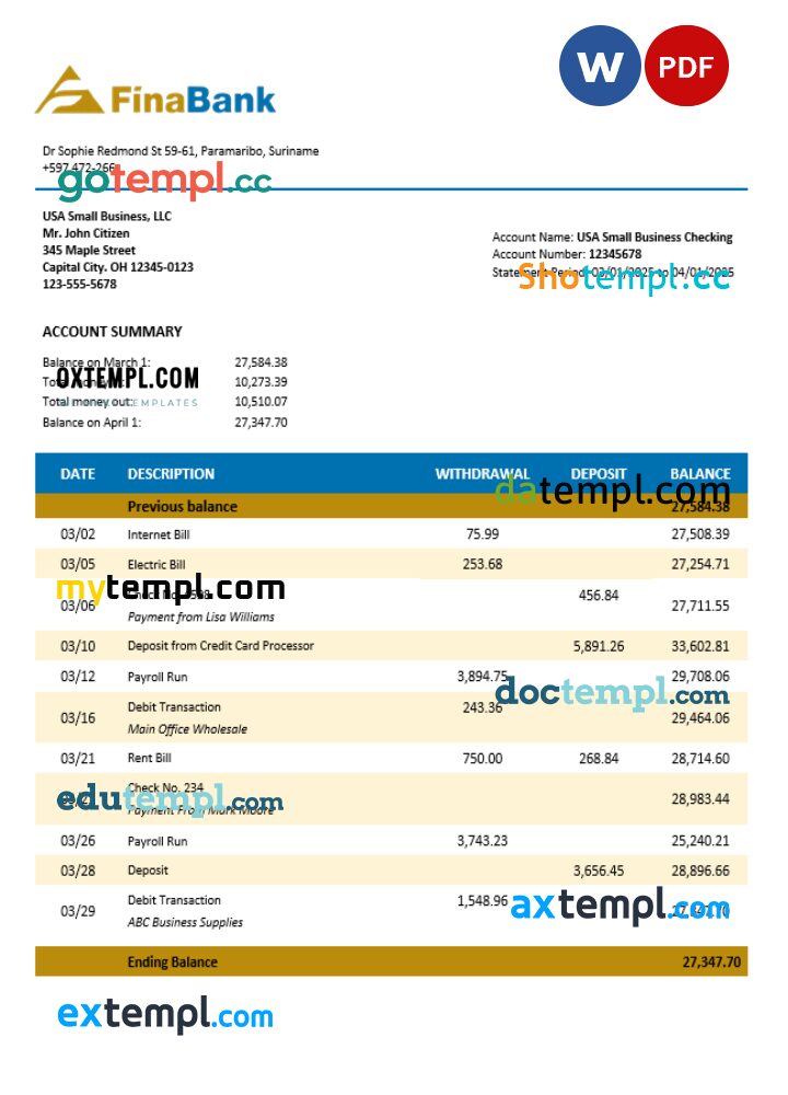 Suriname Finabank enterprise statement Word and PDF template