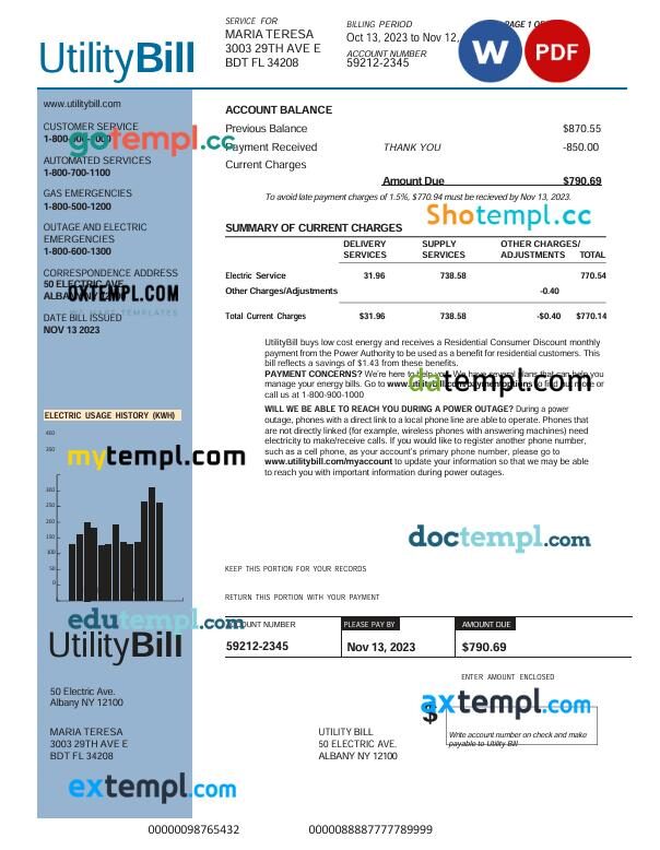 USA Albany NY 12100 Electric Service utility bill in Word and PDF format