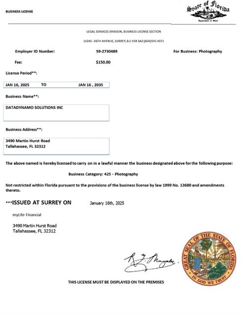 USA Florida business license Word and PDF template