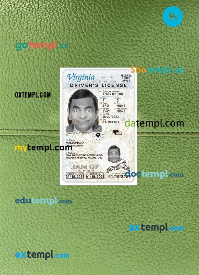 USA Virginia under 21 driving license PSD files, scan look and photographed image, 2 in 1, 2025-present