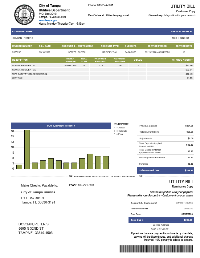 USA Florida City of Tampa Utilities Department water utility bill in Word and PDF format